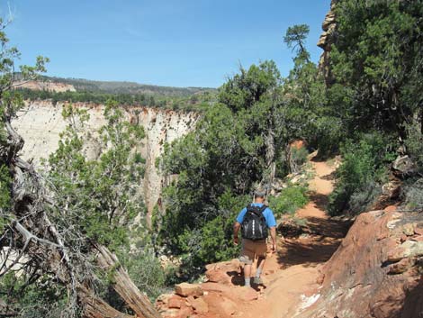 Observation Point Trail