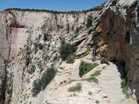 Observation Point Trail