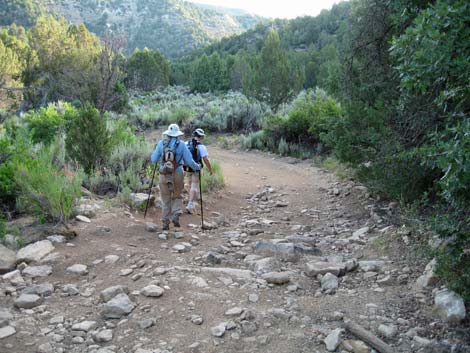 Orderville Canyon