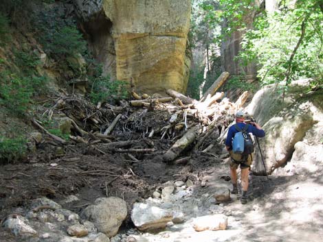 Orderville Canyon