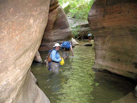 Zion Subway