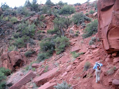 Zion Subway