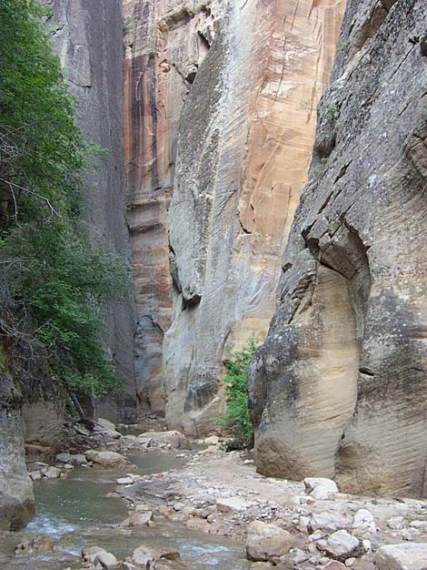 Zion Virgin River Narrows