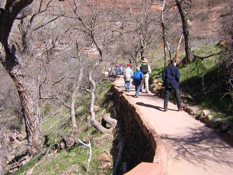 Weeping Rock Trail