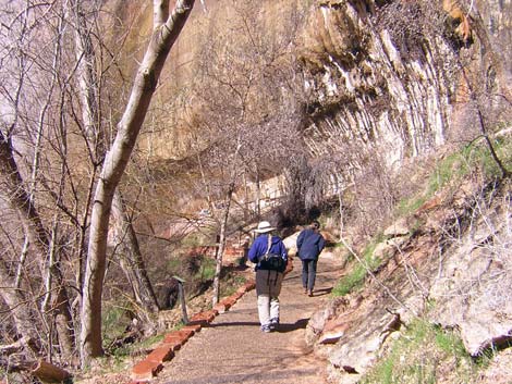 Weeping Rock Trail