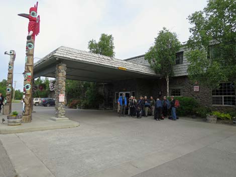 Denali birding