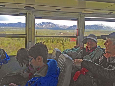 Denali birding