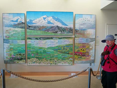 Denali birding