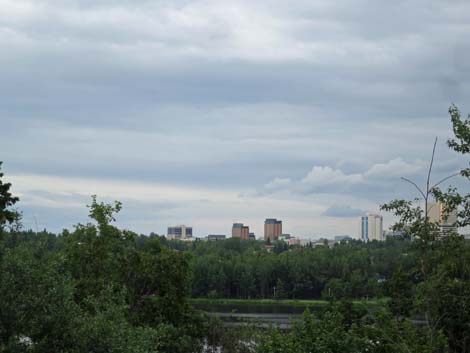 Anchorage birding