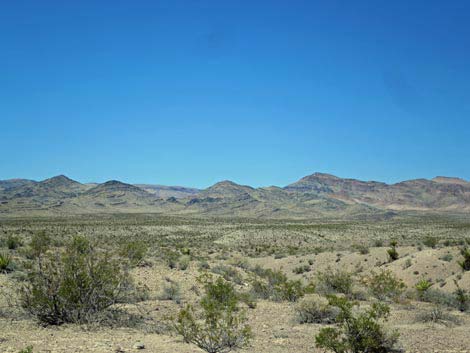 Delamar Mountains Wilderness Area