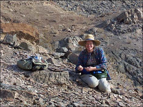 Chambless Trilobite Quarry