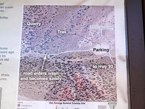 Oak Springs Trilobite Site