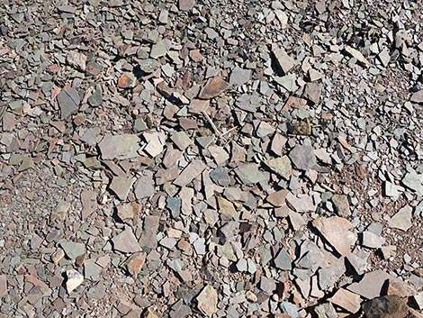 Oak Springs Trilobite Site
