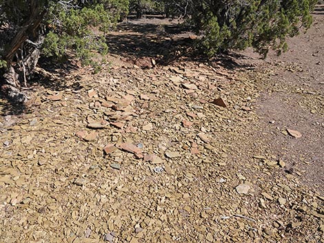 Oak Springs Trilobite Site