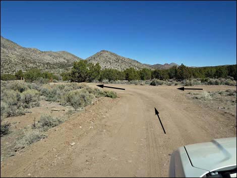 Oak Springs Trilobite Site