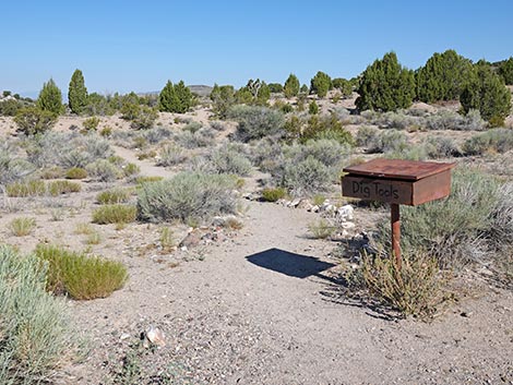 Oak Springs Trilobite Site