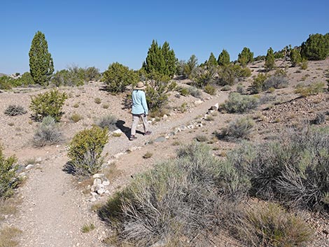 Oak Springs Trilobite Site