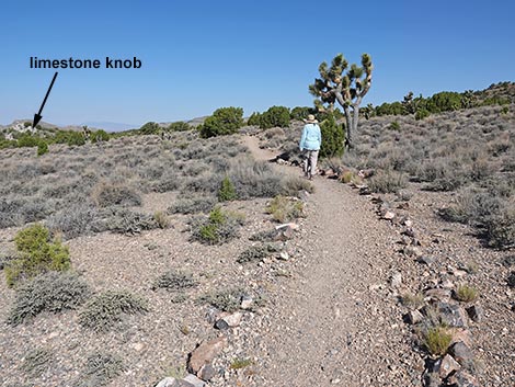 Oak Springs Trilobite Site