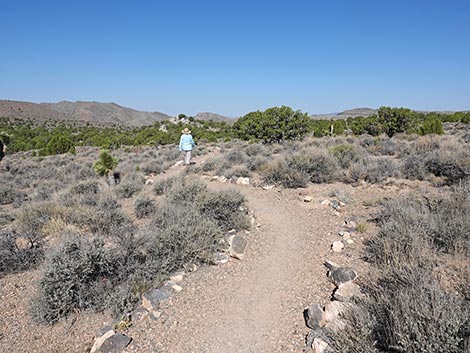 Oak Springs Trilobite Site