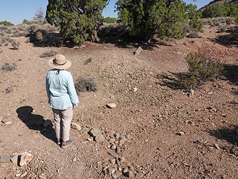 Oak Springs Trilobite Site