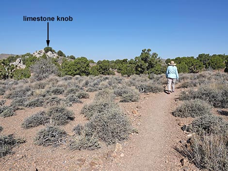Oak Springs Trilobite Site