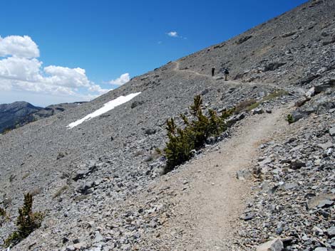 Alpine Tundra (Alpine Life Zone)