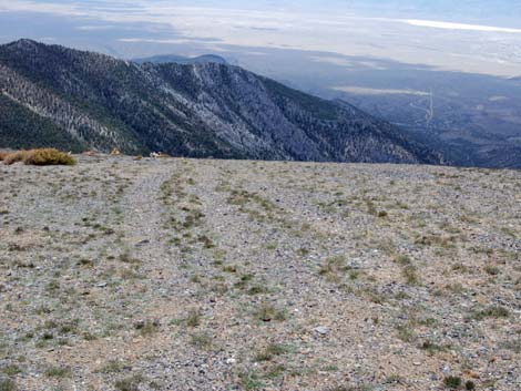 Alpine Tundra (Alpine Life Zone)