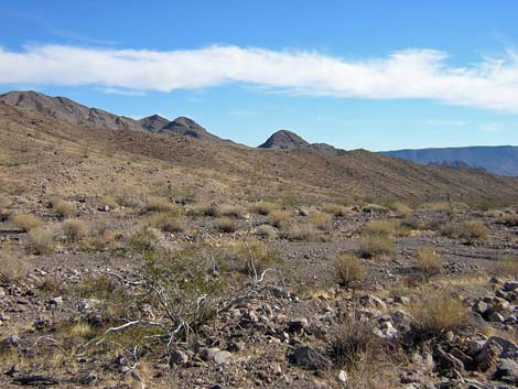 Black Canyon Wilderness Area