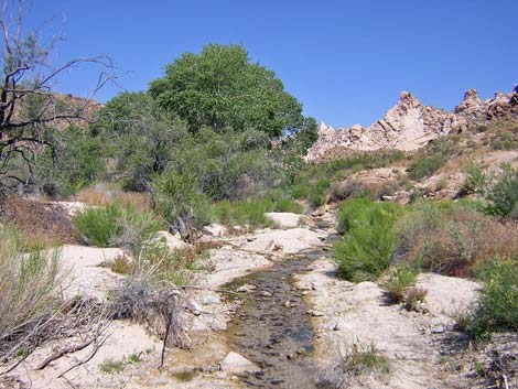 Bridge Canyon Wilderness Area