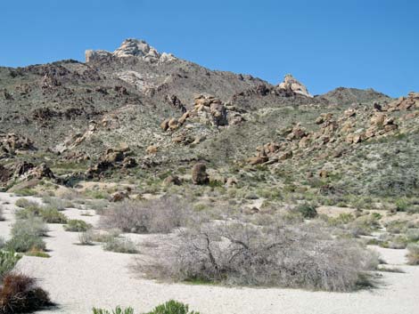 Bridge Canyon Wilderness Area