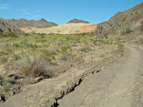 Jimbilnan Wilderness Area