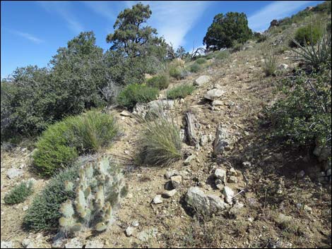 Jumbo Springs Wilderness Area