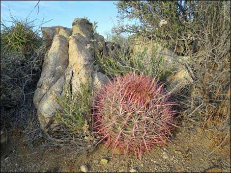 Jumbo Springs Wilderness Area