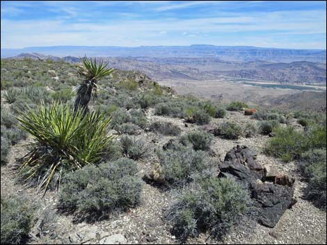 Jumbo Springs Wilderness Area