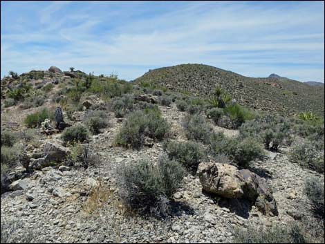 Jumbo Springs Wilderness Area