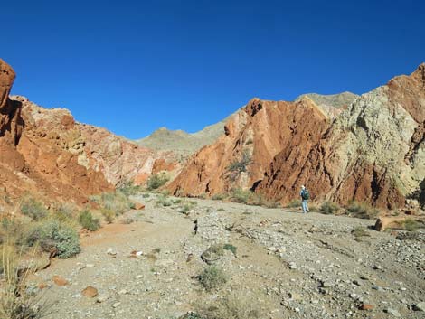 Lime Canyon Wilderness Area