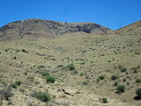 Meadow Valley Range Wilderness Area