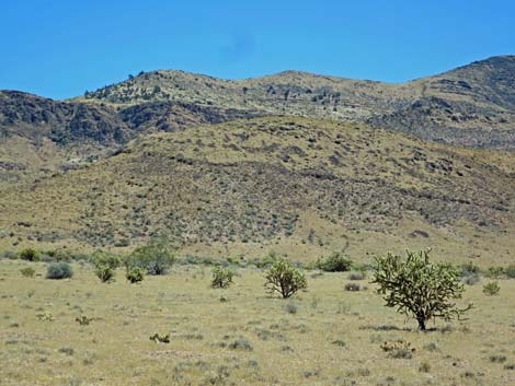 Meadow Valley Range Wilderness Area