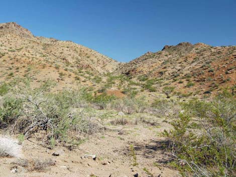 Nellis Wash Wilderness Area