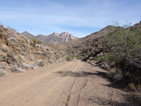 Nellis Wash Wilderness Area