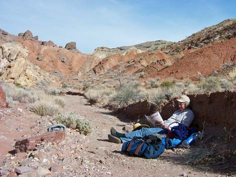 Pinto Valley Wilderness Area