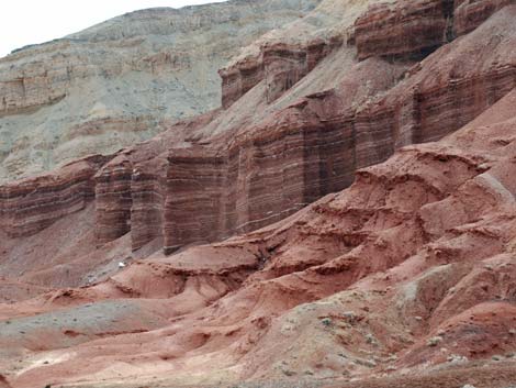 Pinto Valley Wilderness Area